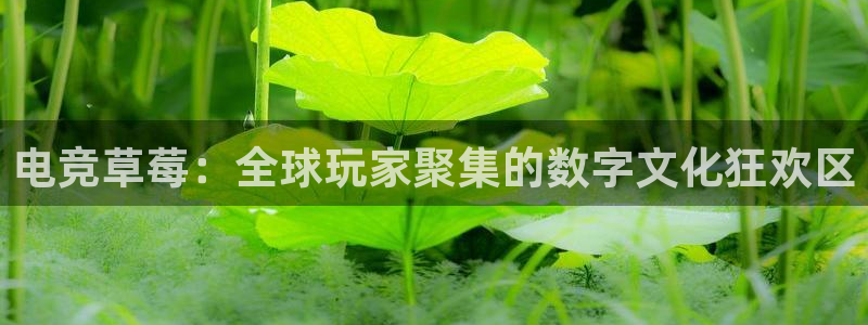 多宝电竞|welcome：电竞草莓：全球玩家聚集的数字文化狂欢区