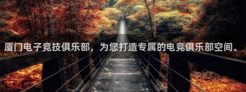 多宝电竞