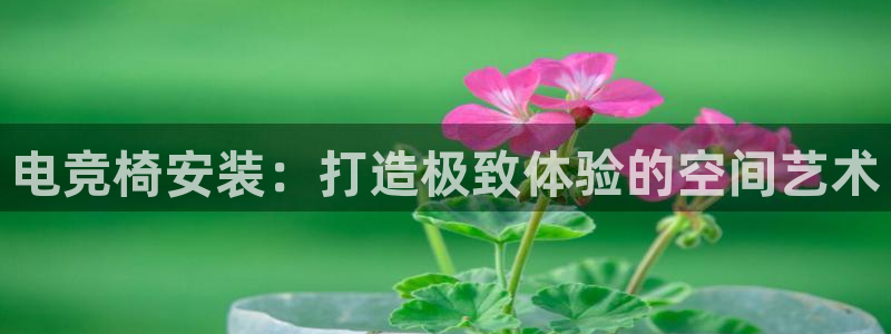 多宝电竞下载