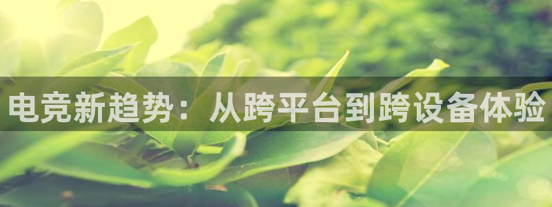 多宝电竞官网：电竞新趋势：从跨平台到跨设备体验