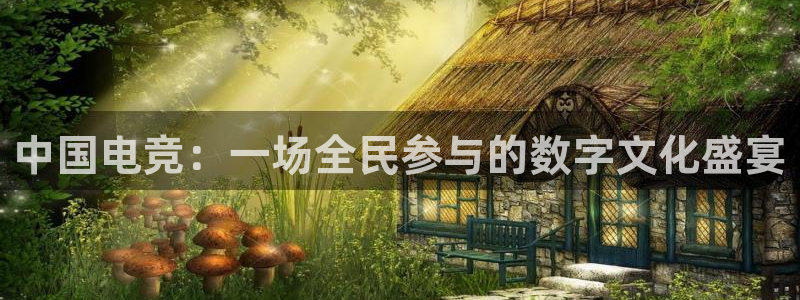 多宝电竞|Home：中国电竞：一场全民参与的数字文化盛宴