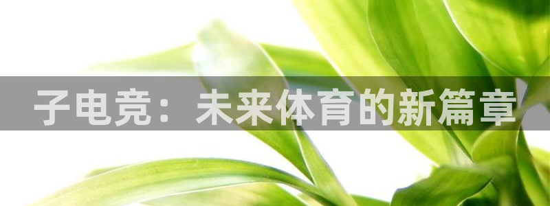 DB多宝电竞：子电竞：未来体育的新篇章