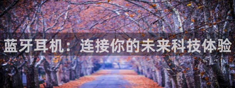 多宝电竞app：蓝牙耳机：连接你的未来科技体验