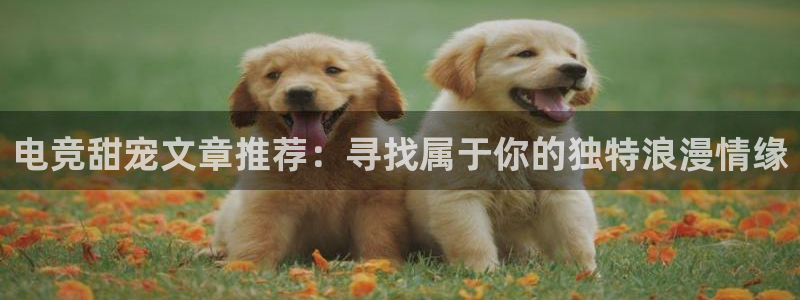 多宝电竞：电竞甜宠文章推荐：寻找属于你的独特浪漫情缘