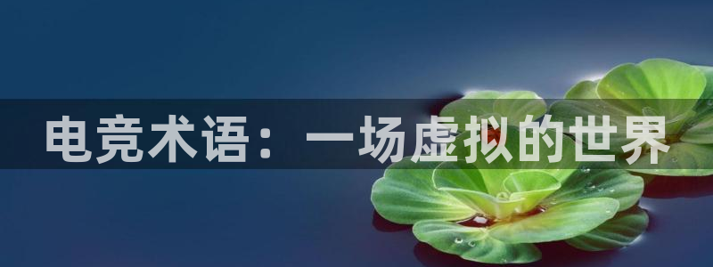 多宝电竞|Home：电竞术语：一场虚拟的世界