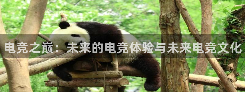 多宝电竞下载：电竞之巅：未来的电竞体验与未来电竞文化
